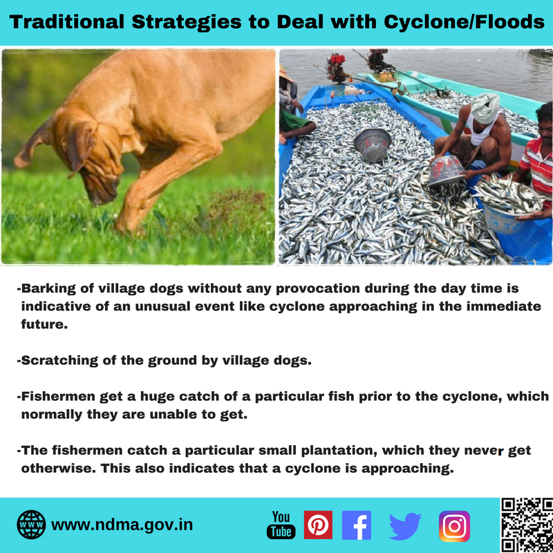 Traditional strategies to deal with cyclones/floods – warning by animals